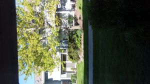 20170507_080415.jpg